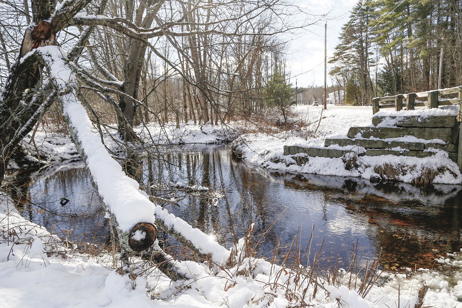 Valley Voice: Dreaming of a white Thanksgiving? You got it!